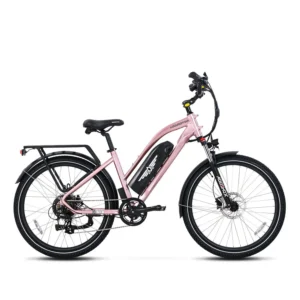 E-City Bike